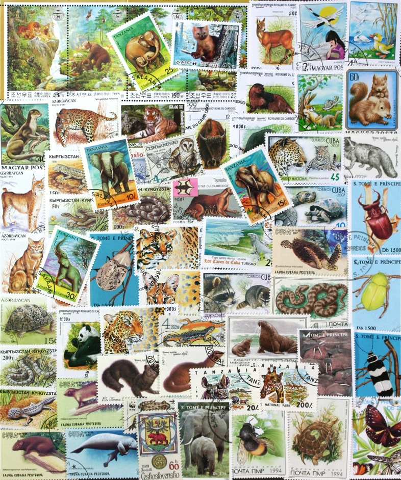 WILD ANIMALS COLLECTION OF 100 DIFFERENT STAMPS, NICE (lot #DP 